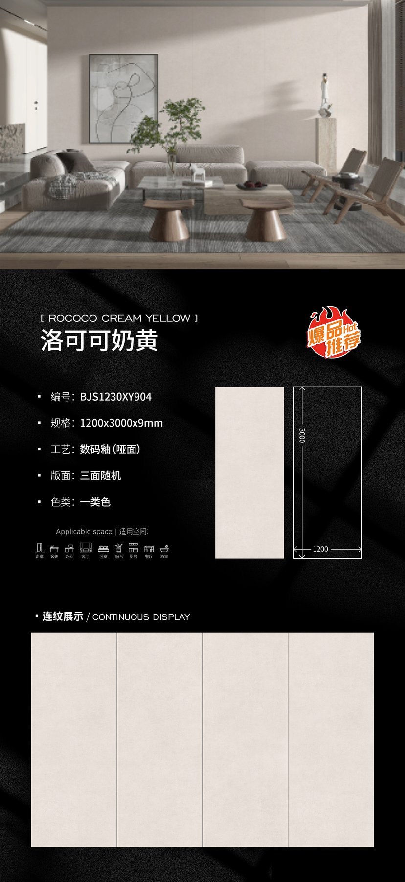 BJS1230XY904 · 1200×3000 mm · 9 mm · Matte sintered stone
