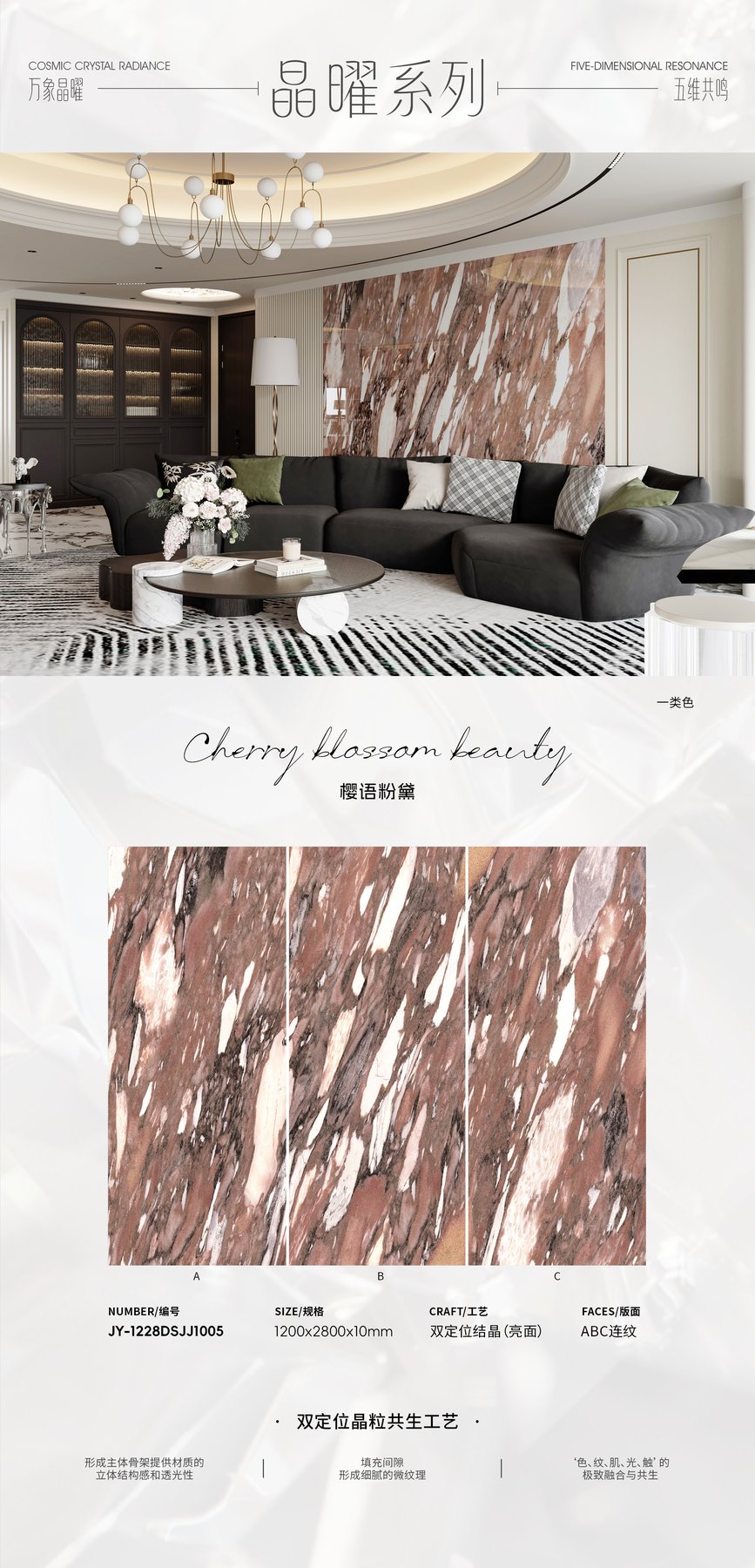 JY-1228DSJJ1005 · 1200×2800 mm · 10 mm · Textured sintered stone