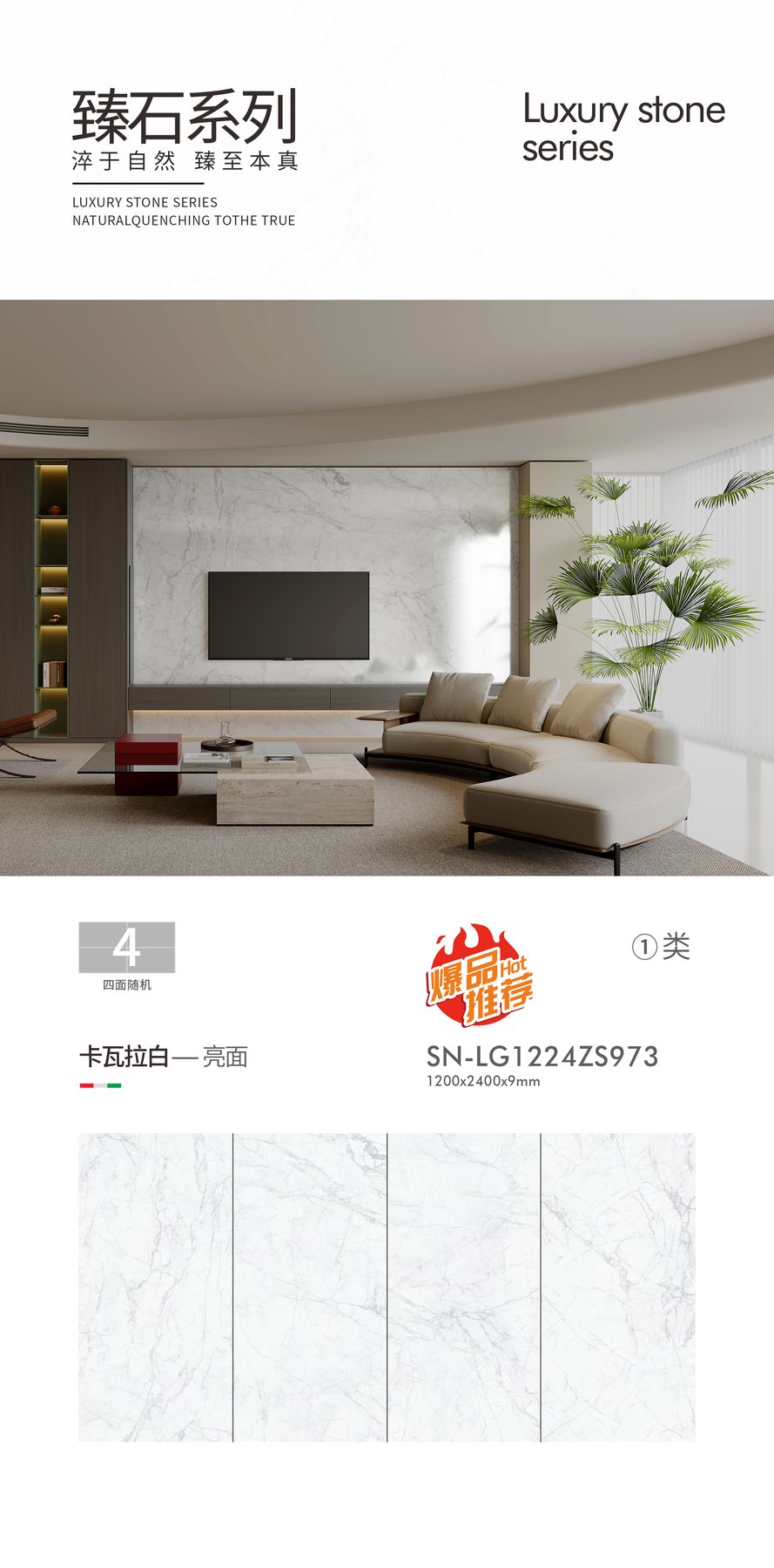 SN-LG1224ZS973 · 1200×2400 mm · 9 mm · Glossy sintered stone