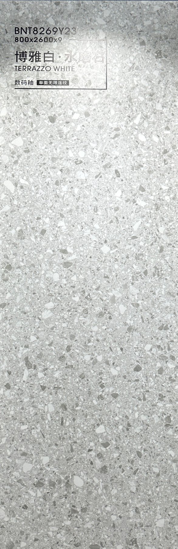 BNT8269Y23 · 800×2600 mm · 9 mm · Matte sintered stone