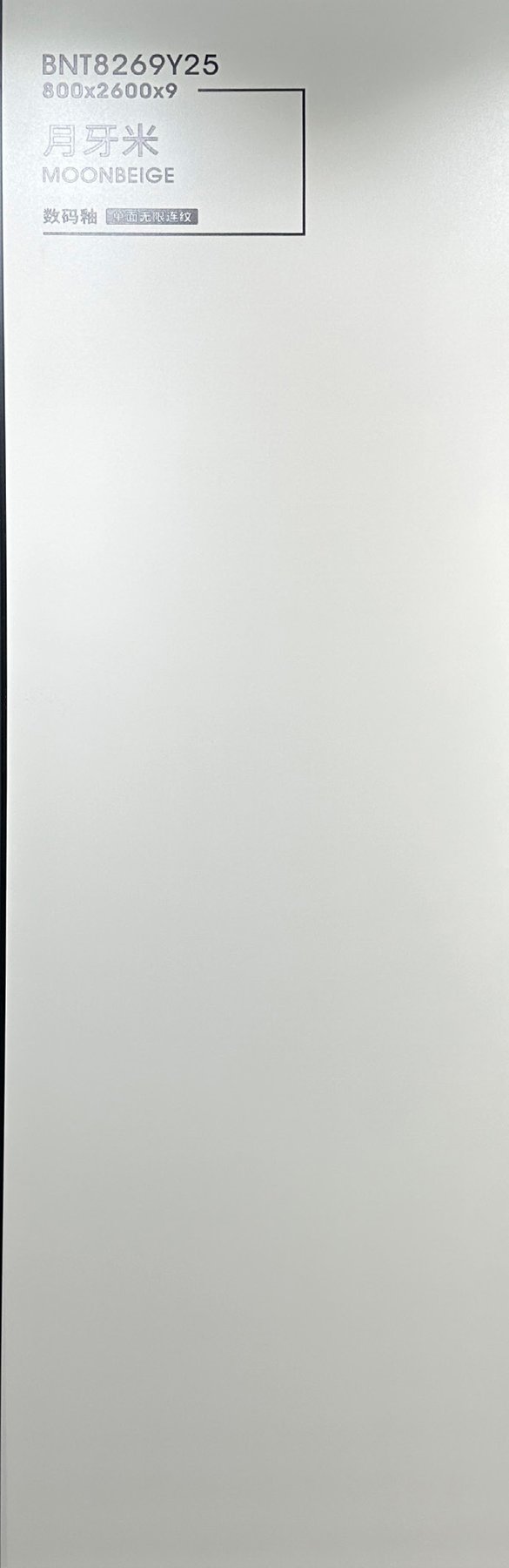 BNT8269Y25 · 800×2600 mm · 9 mm · Matte sintered stone