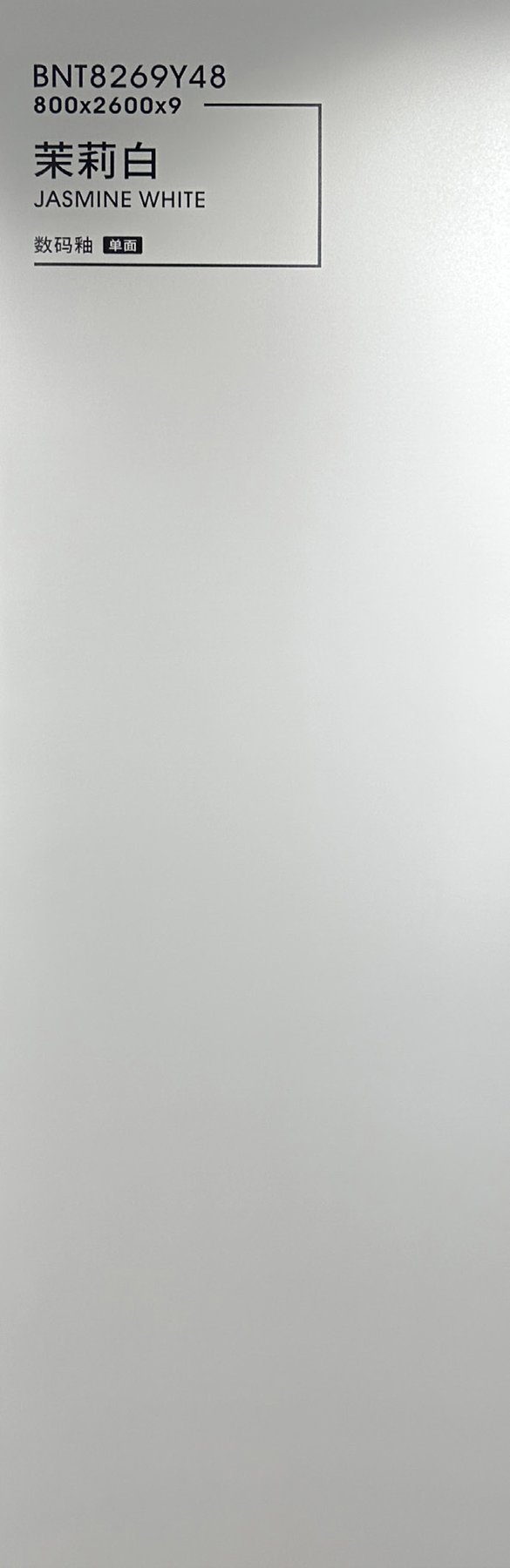 BNT8269Y48 · 800×2600 mm · 9 mm · Matte sintered stone