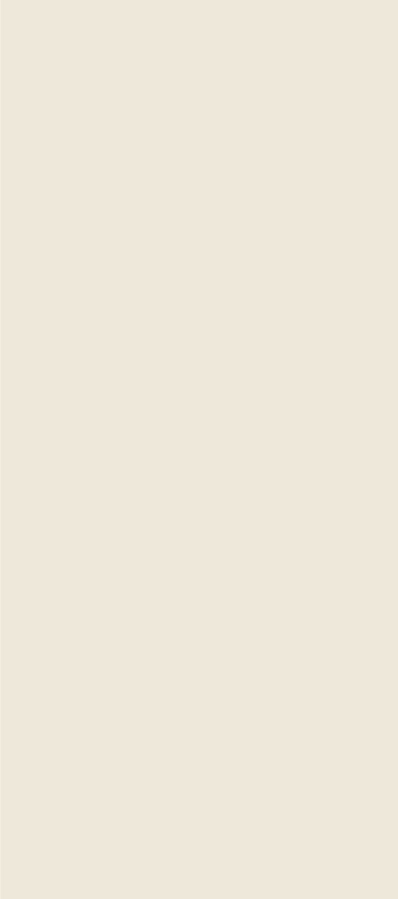 BNT8269Y49 · 800×2600 mm · 9 mm · Matte sintered stone