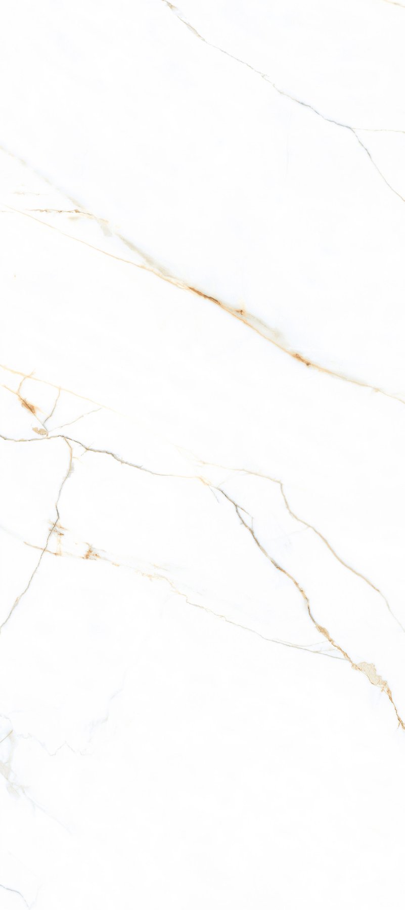 D2647 · 800×2600 mm · 9 mm · Glossy sintered stone